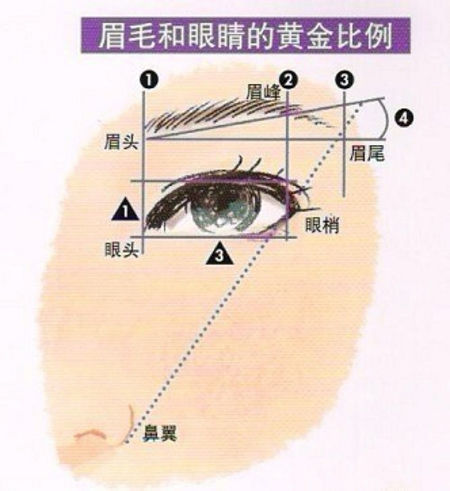 我们来看这张图,其实你的眉头和眼头是应该在一个基准线上的,同事眉