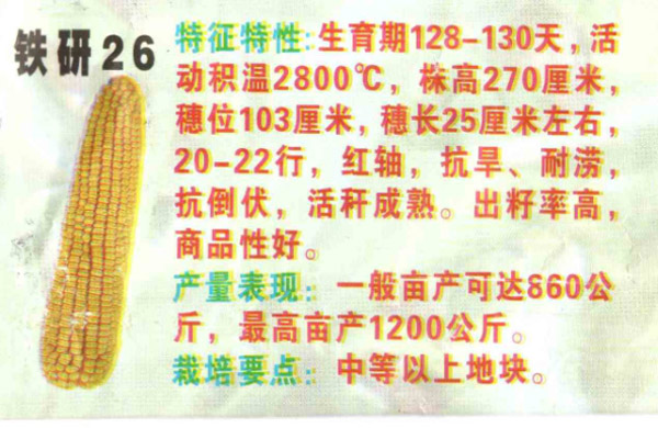 玉米-铁研26_玉米种子铁研26_柳河玉米种子_梅河玉米