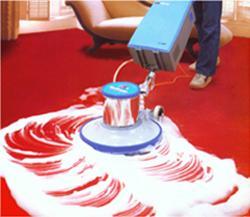 蒙城家政公司-清洗地毯